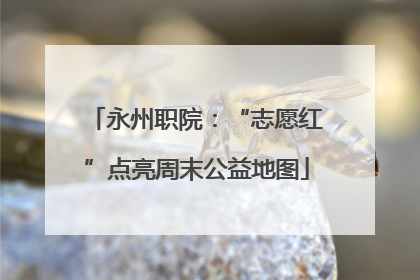 永州职院：“志愿红”点亮周末公益地图