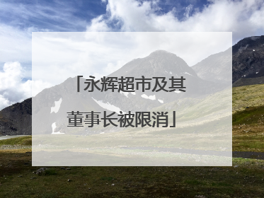永辉超市及其董事长被限消