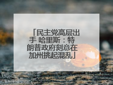 民主党高层出手 哈里斯：特朗普政府刻意在加州挑起混乱