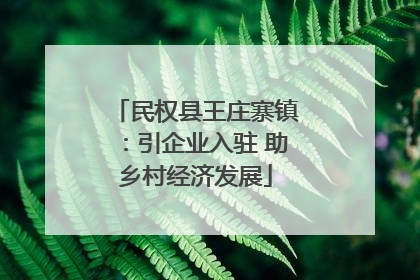民权县王庄寨镇：引企业入驻 助乡村经济发展