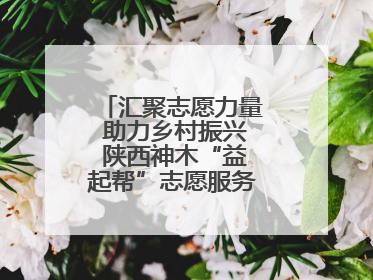 汇聚志愿力量 助力乡村振兴 陕西神木“益起帮”志愿服务项目成效显著
