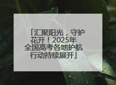 汇聚阳光，守护花开！2025年全国高考各地护航行动持续展开