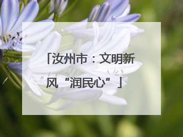 汝州市：文明新风“润民心”