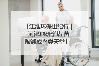 江淮环保世纪行｜三河湿地研学热 黄陂湖成鸟类天堂