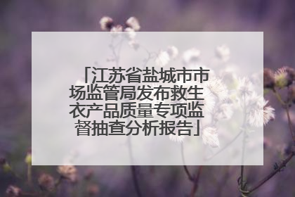 江苏省盐城市市场监管局发布救生衣产品质量专项监督抽查分析报告