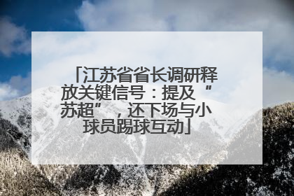 江苏省省长调研释放关键信号：提及“苏超”，还下场与小球员踢球互动