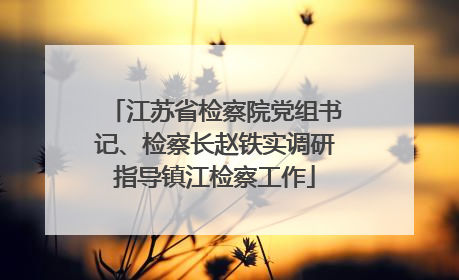 江苏省检察院党组书记、检察长赵铁实调研指导镇江检察工作
