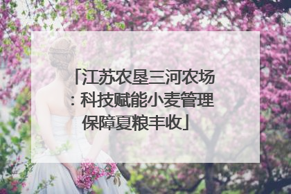 江苏农垦三河农场：科技赋能小麦管理保障夏粮丰收