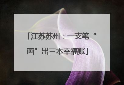 江苏苏州：一支笔“画”出三本幸福账