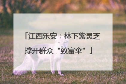 江西乐安：林下紫灵芝撑开群众“致富伞”