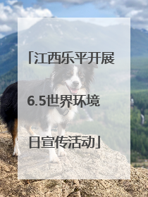 江西乐平开展6.5世界环境日宣传活动