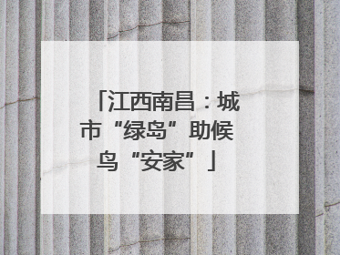 江西南昌：城市“绿岛”助候鸟“安家”