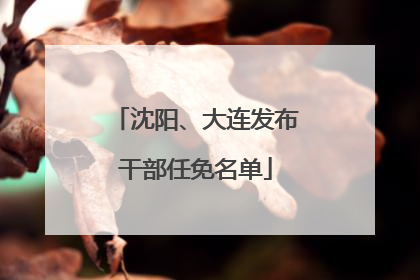 沈阳、大连发布干部任免名单