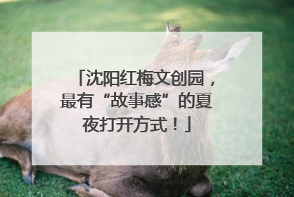 沈阳红梅文创园，最有“故事感”的夏夜打开方式！
