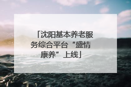 沈阳基本养老服务综合平台“盛情康养”上线
