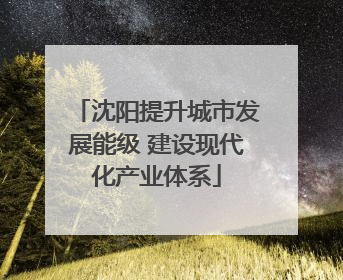 沈阳提升城市发展能级 建设现代化产业体系