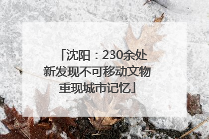 沈阳：230余处新发现不可移动文物重现城市记忆