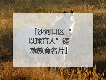沙河口区“以球育人”铸就教育名片