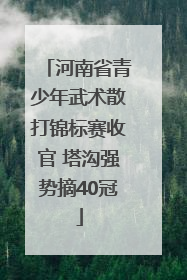 河南省青少年武术散打锦标赛收官 塔沟强势摘40冠