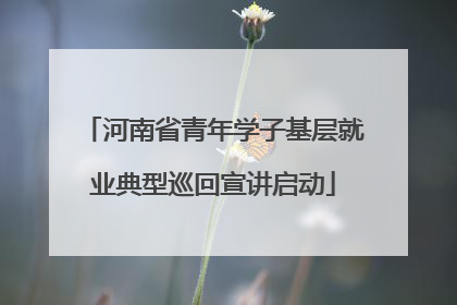 河南省青年学子基层就业典型巡回宣讲启动