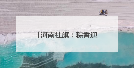 河南社旗：粽香迎端午 童趣庆六一