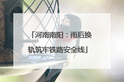 河南南阳：雨后换轨筑牢铁路安全线