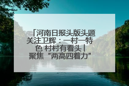 河南日报头版头题关注卫辉：一村一特色 村村有看头 ︳聚焦“两高四着力”·一“县”观察