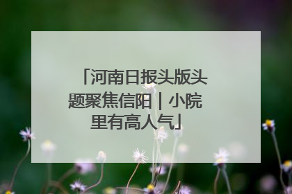 河南日报头版头题聚焦信阳｜小院里有高人气
