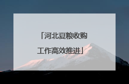 河北夏粮收购工作高效推进
