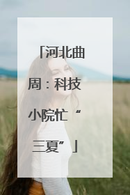 河北曲周：科技小院忙“三夏”