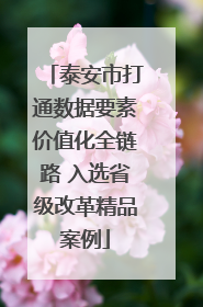 泰安市打通数据要素价值化全链路 入选省级改革精品案例