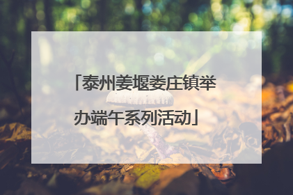 泰州姜堰娄庄镇举办端午系列活动