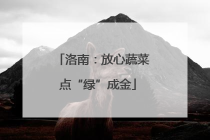 洛南：放心蔬菜点“绿”成金