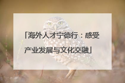 海外人才宁德行：感受产业发展与文化交融