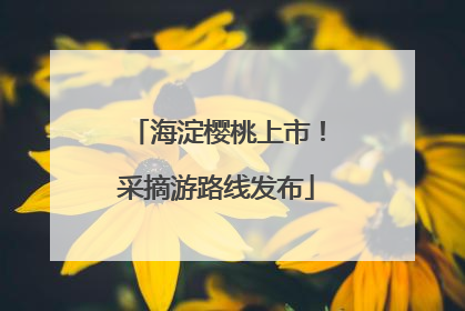 海淀樱桃上市！采摘游路线发布