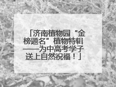 济南植物园“金榜题名”植物特辑——为中高考学子送上自然祝福！