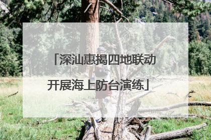 深汕惠揭四地联动开展海上防台演练