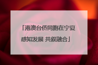 港澳台侨同胞在宁夏感知发展 共叙融合