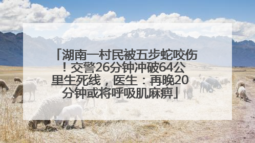 湖南一村民被五步蛇咬伤！交警26分钟冲破64公里生死线，医生：再晚20分钟或将呼吸肌麻痹
