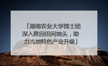 湖南农业大学博士团深入隆回田间地头，助力当地特色产业升级