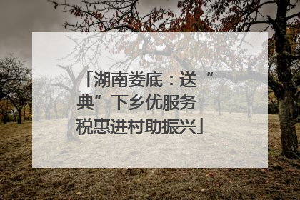 湖南娄底：送“典”下乡优服务 税惠进村助振兴