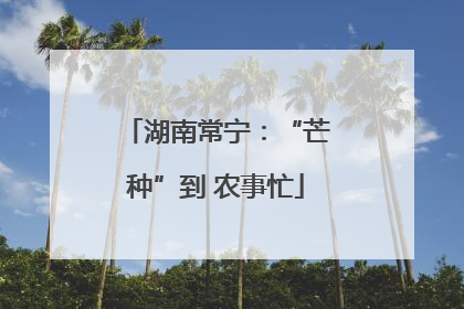 湖南常宁：“芒种”到 农事忙