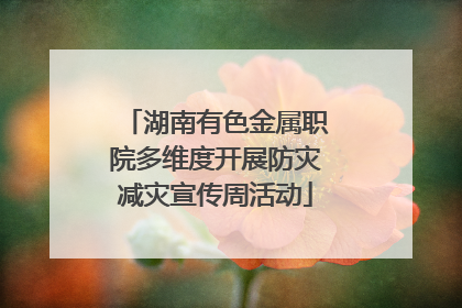 湖南有色金属职院多维度开展防灾减灾宣传周活动