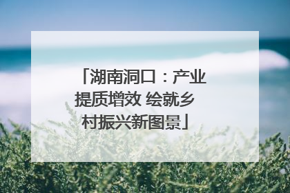 湖南洞口：产业提质增效 绘就乡村振兴新图景