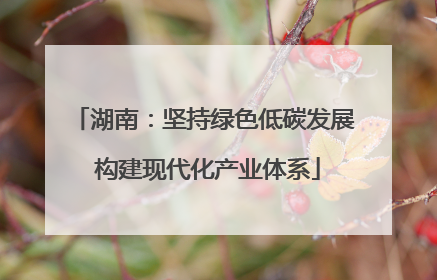 湖南：坚持绿色低碳发展 构建现代化产业体系