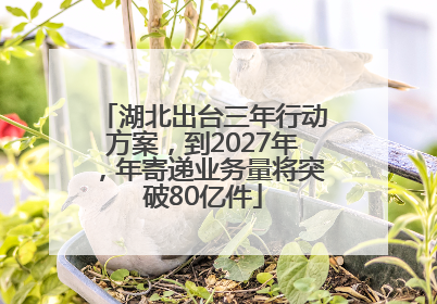 湖北出台三年行动方案，到2027年，年寄递业务量将突破80亿件
