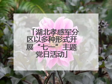 湖北孝感军分区以多种形式开展“七一”主题党日活动