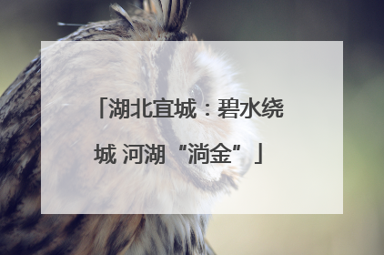 湖北宜城：碧水绕城 河湖“淌金”
