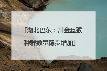 湖北巴东：川金丝猴种群数量稳步增加