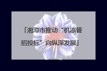 湘潭市推动“机器管招投标”向纵深发展
